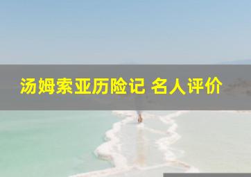 汤姆索亚历险记 名人评价